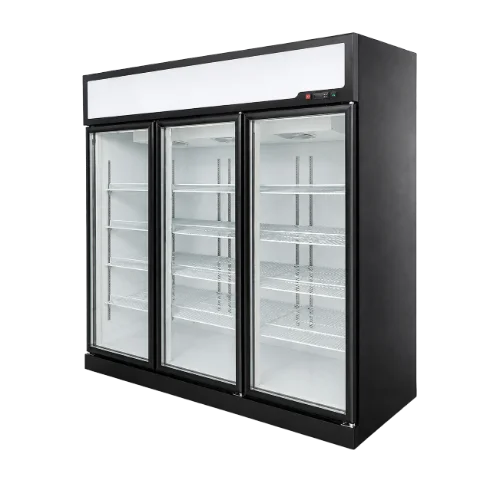 Portable Cold Storage Boxes Featured Image